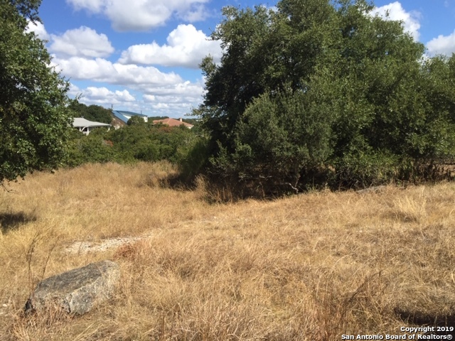 318 Gallagher Drive Canyon Lake TX 78133