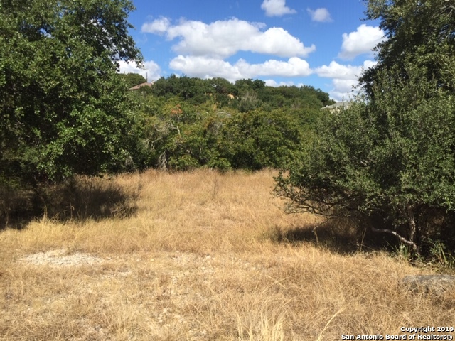 318 Gallagher Drive Canyon Lake TX 78133