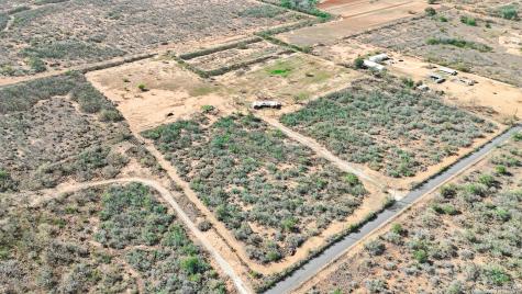 12 Acres County Road 307 Jourdanton TX 78026