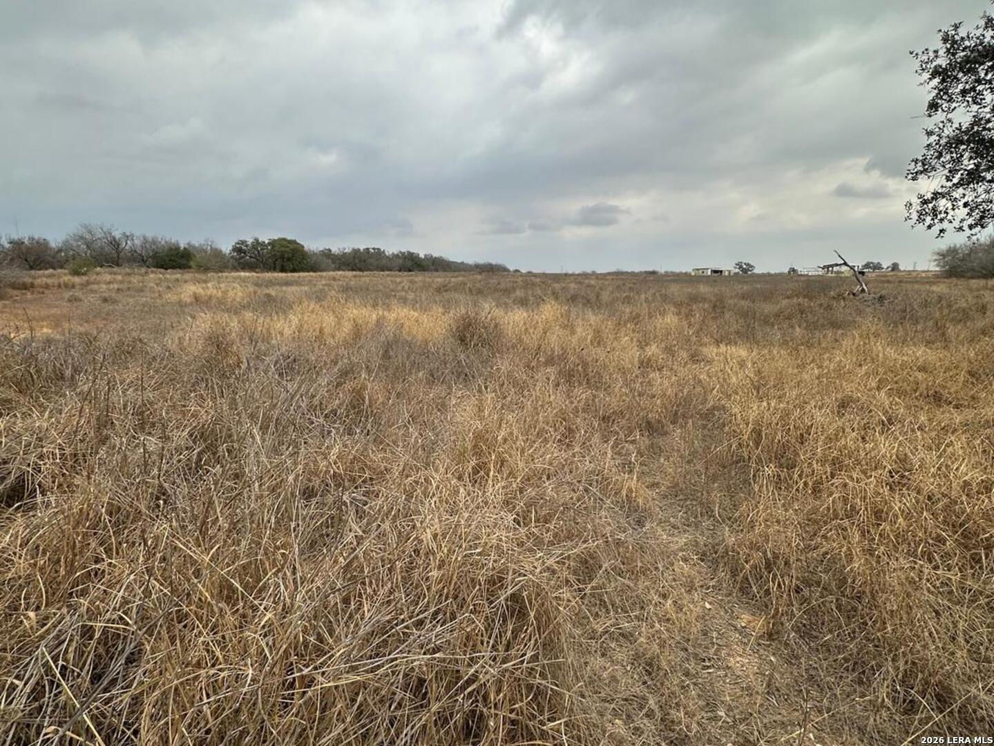 000 E Fm 462 Moore TX 78057