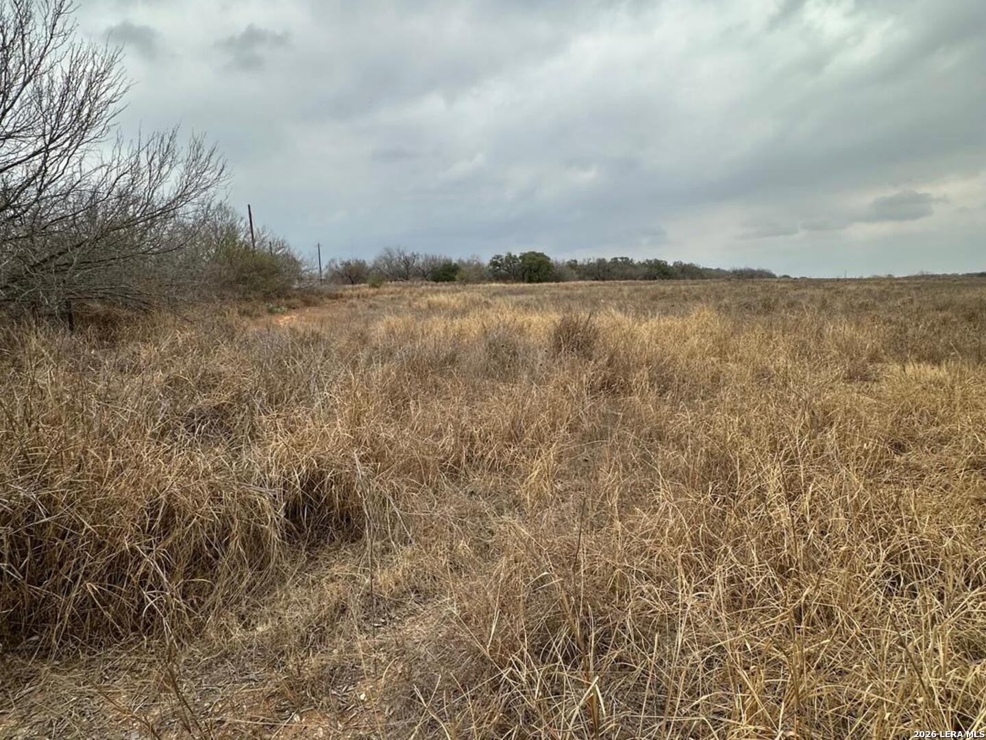 000 E Fm 462 Moore TX 78057
