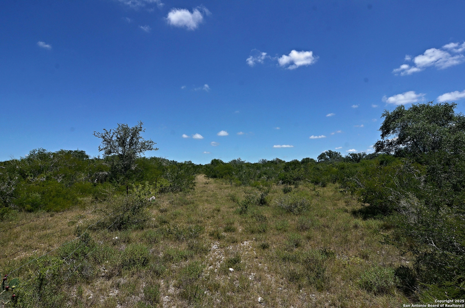 1641 Charco Beeville TX 78102