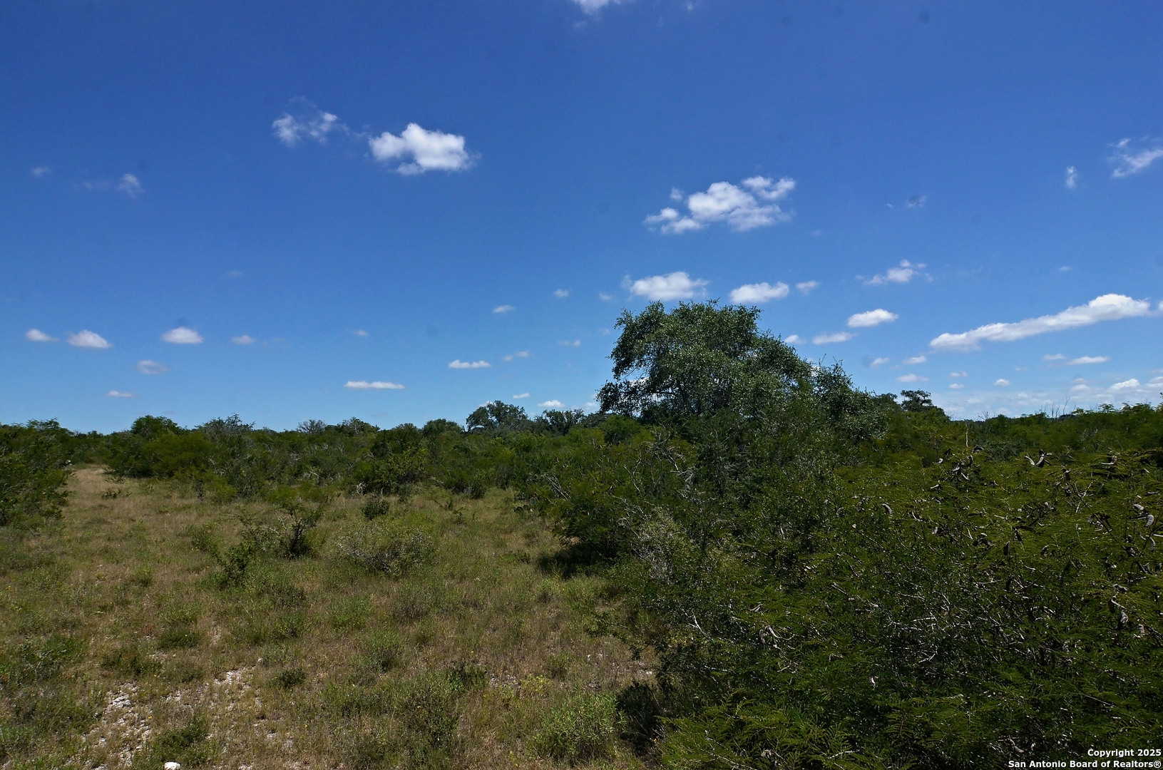 1641 Charco Beeville TX 78102