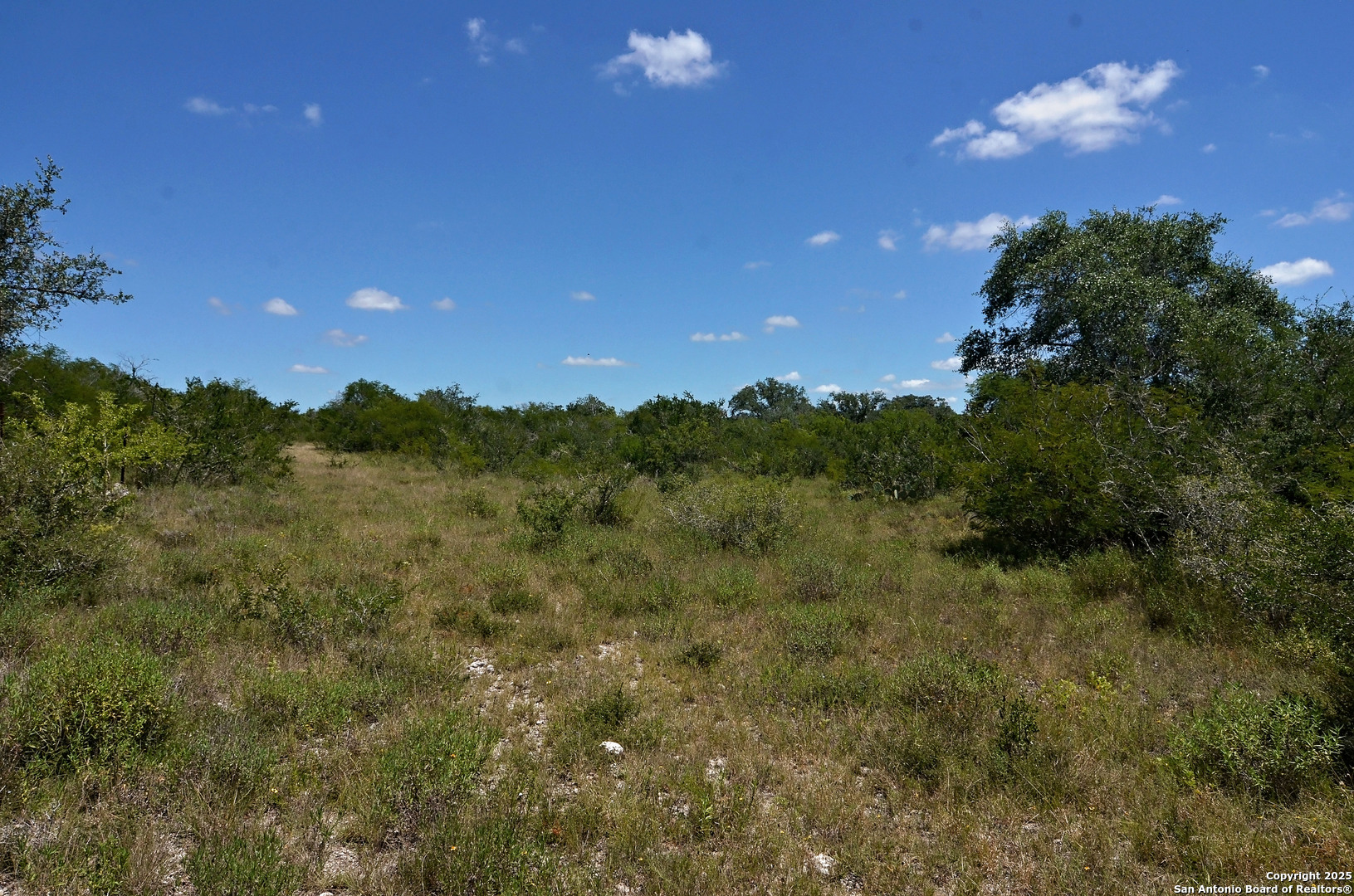 1641 Charco Beeville TX 78102