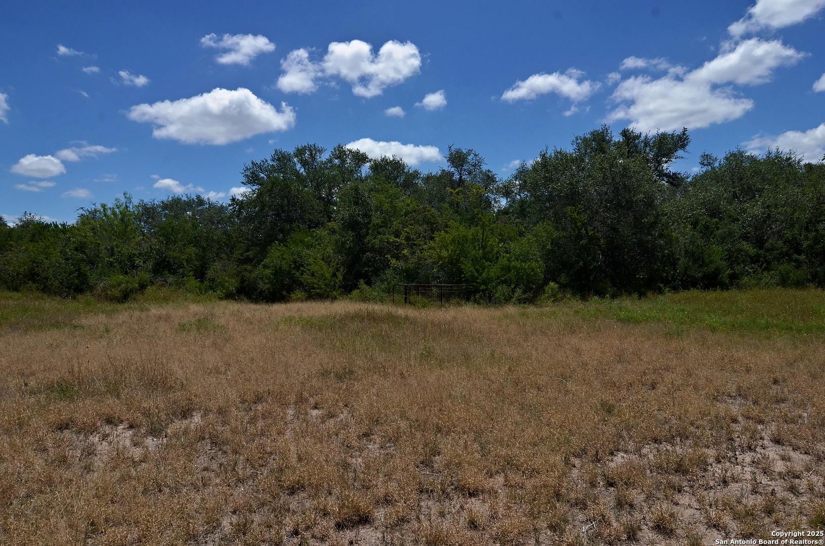 1641 Charco Beeville TX 78102