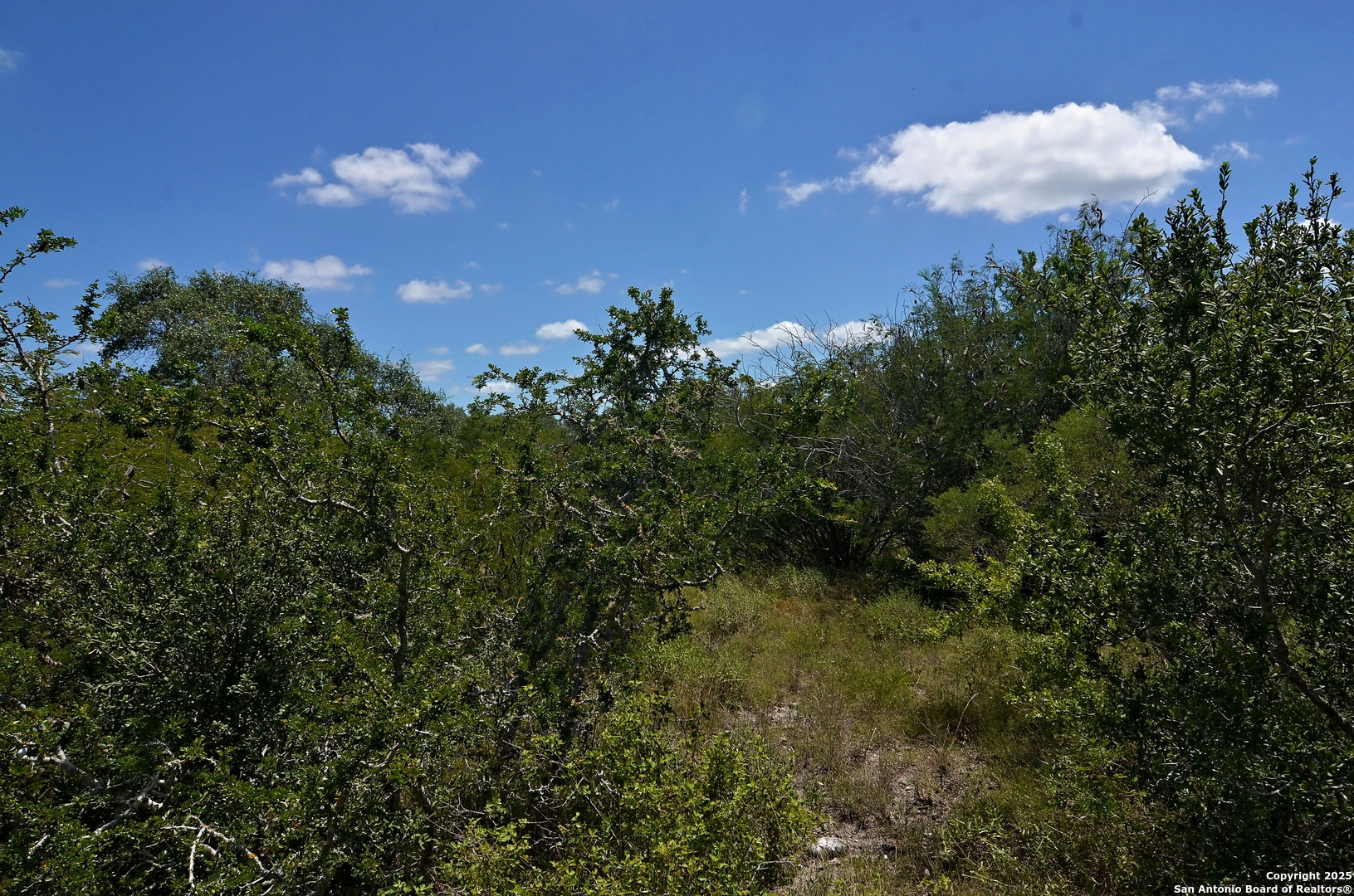 1641 Charco Beeville TX 78102