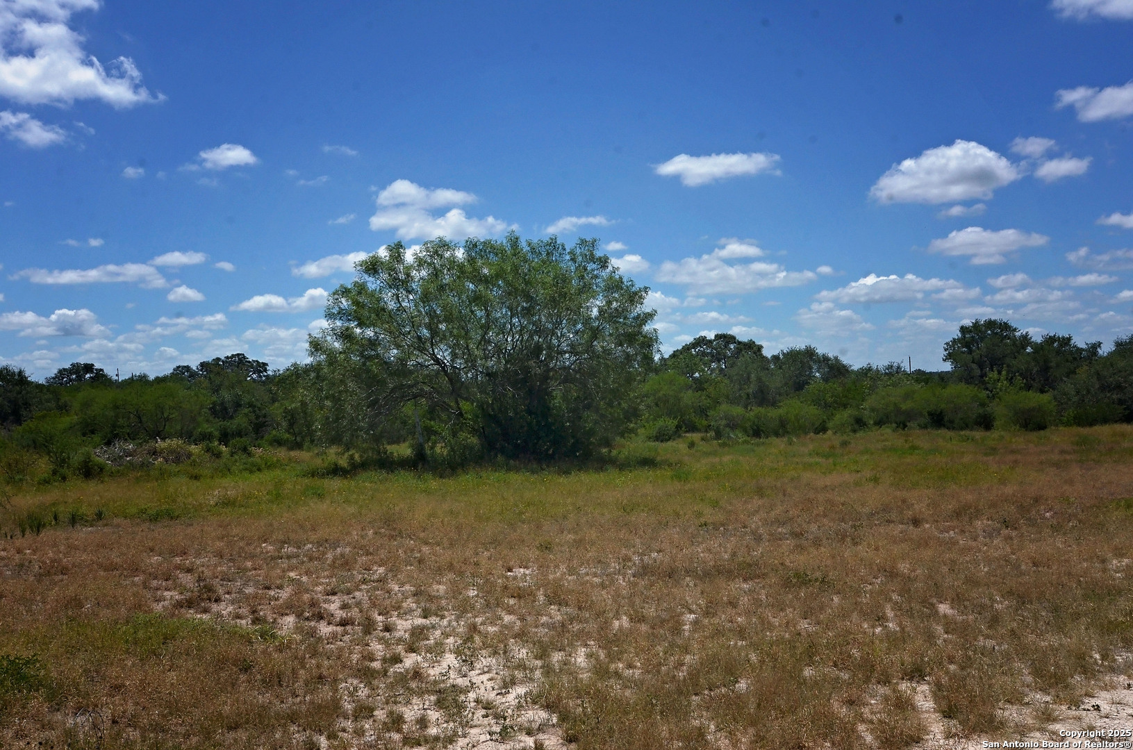 1641 Charco Beeville TX 78102