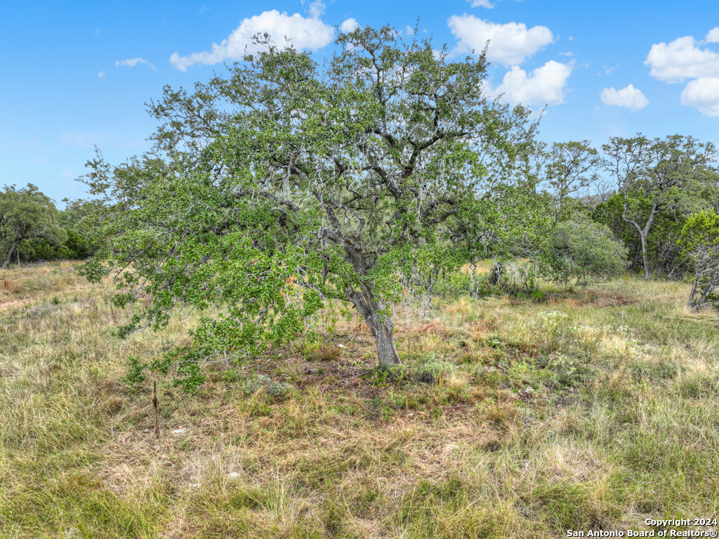 1416 Powder Ridge New Braunfels TX 78132