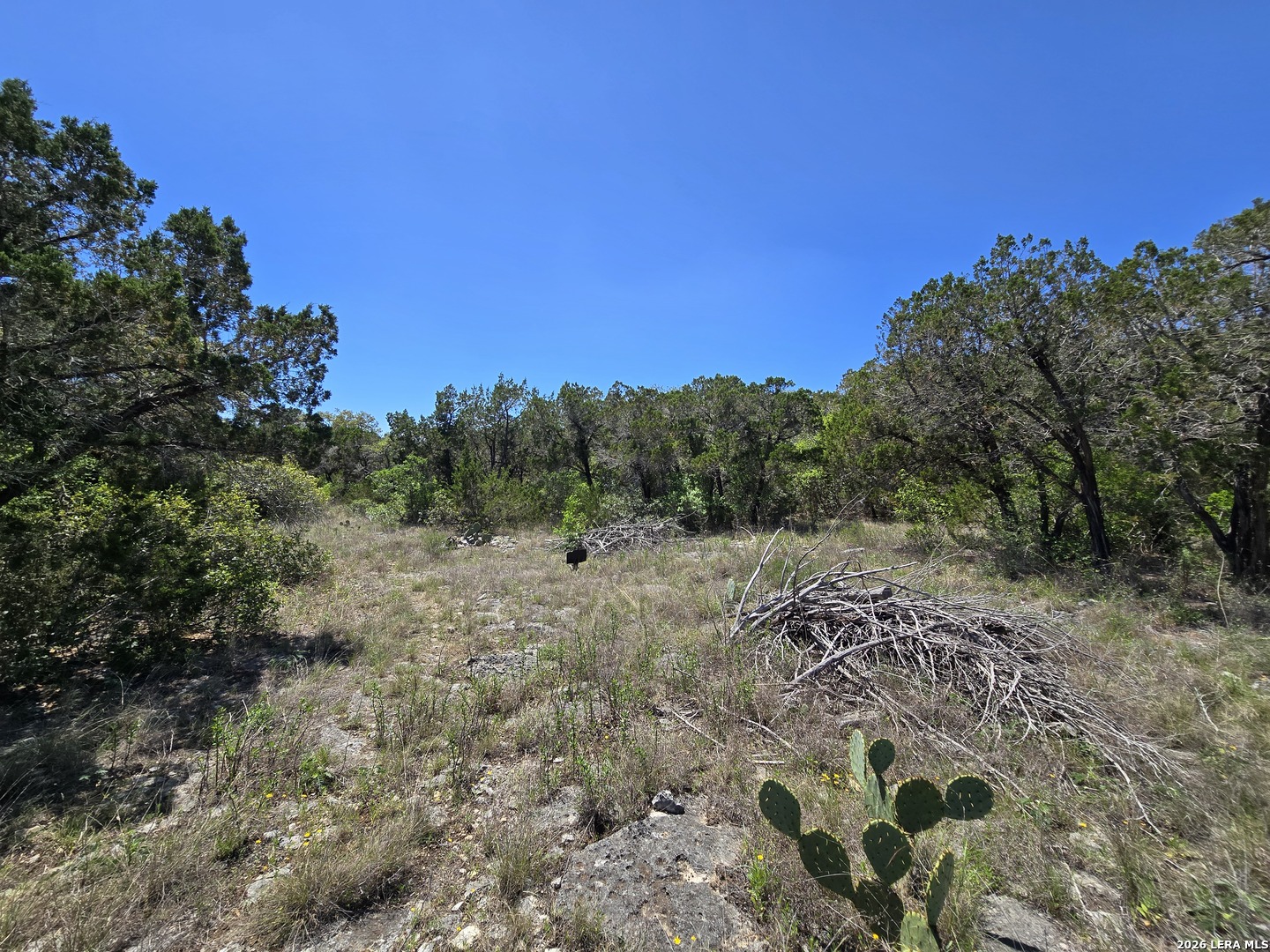 102 County Road 2732 Mico TX 78056