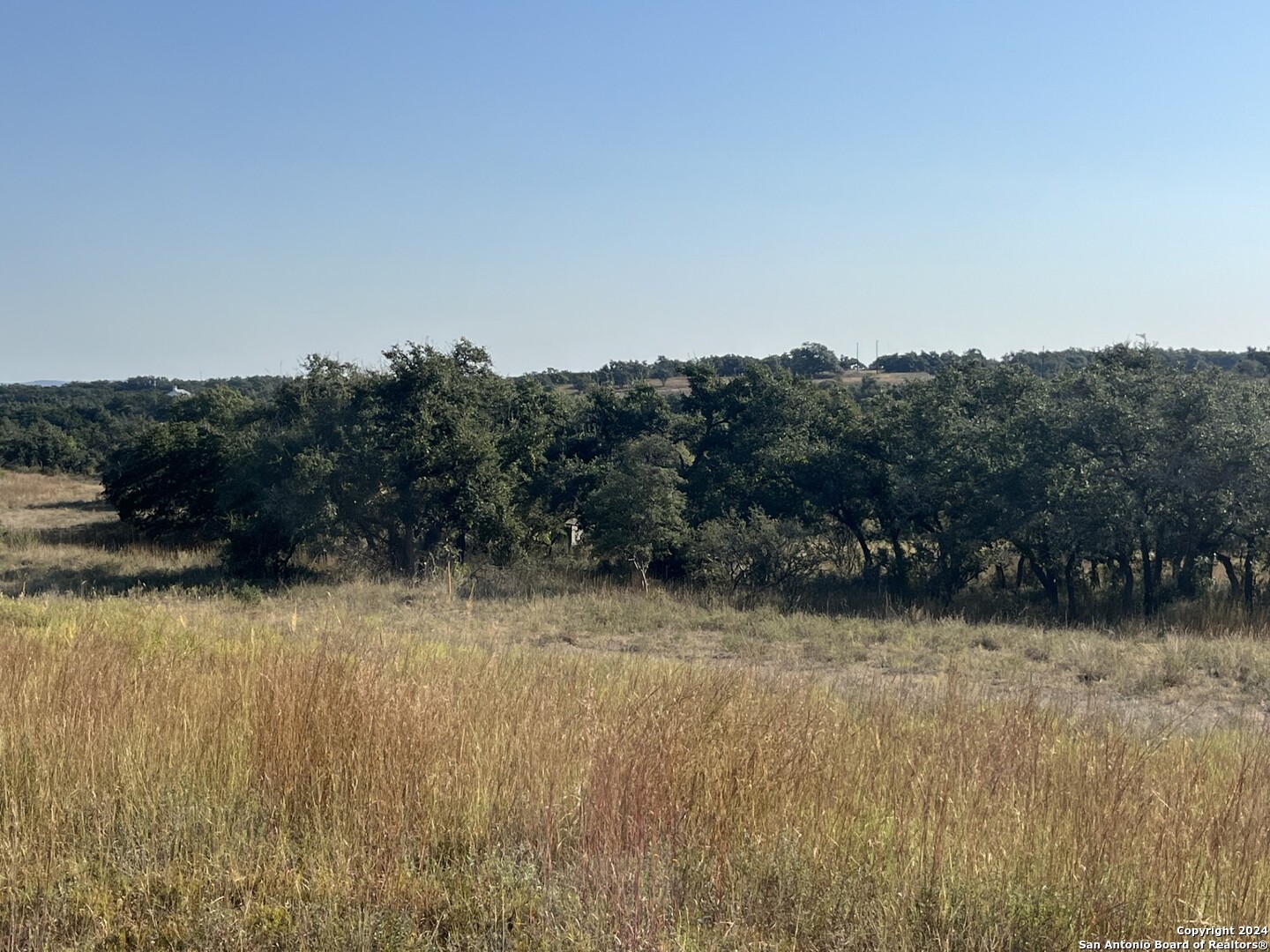 699 Whiskey Trail Blanco TX 78606