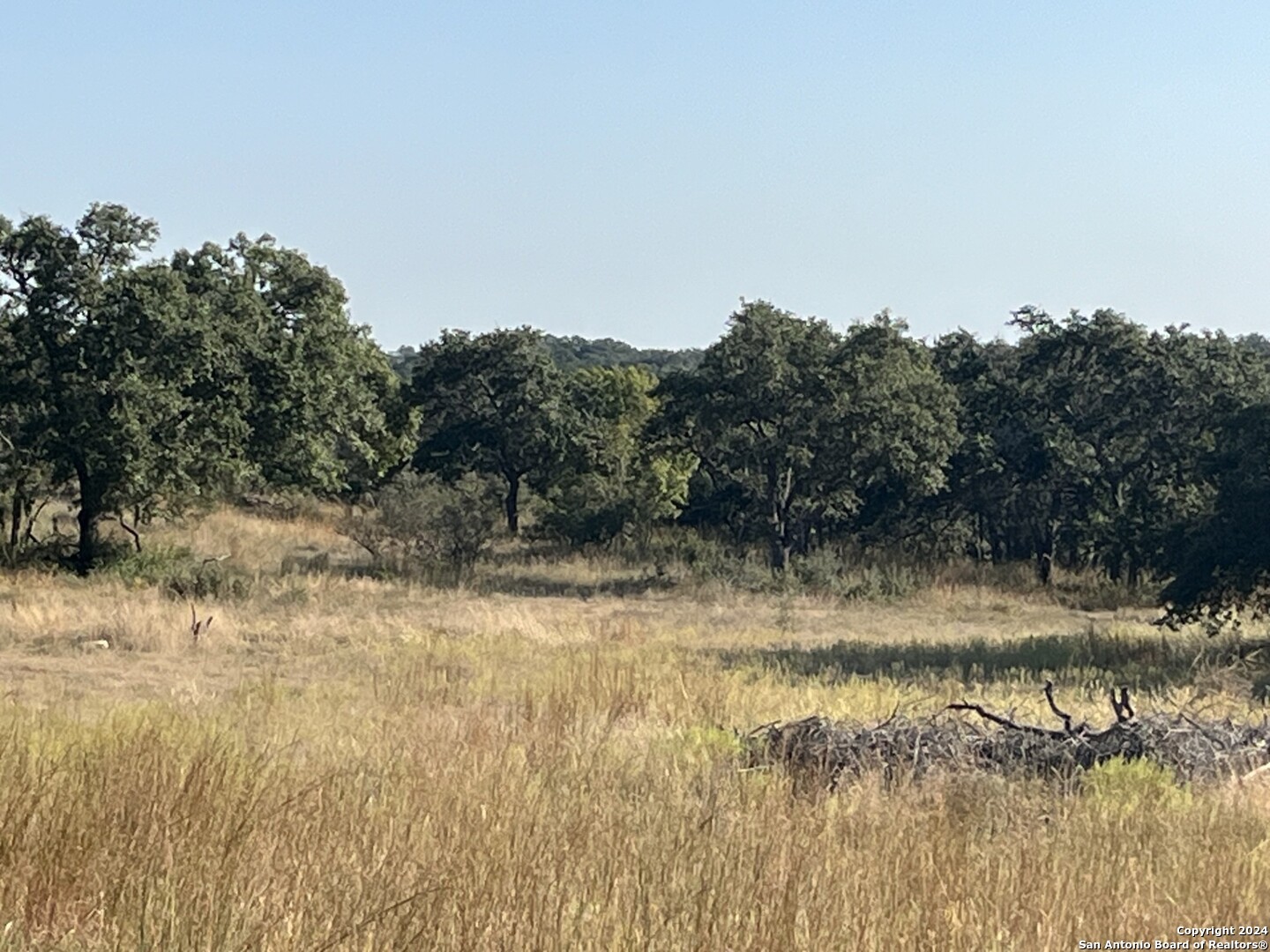 699 Whiskey Trail Blanco TX 78606