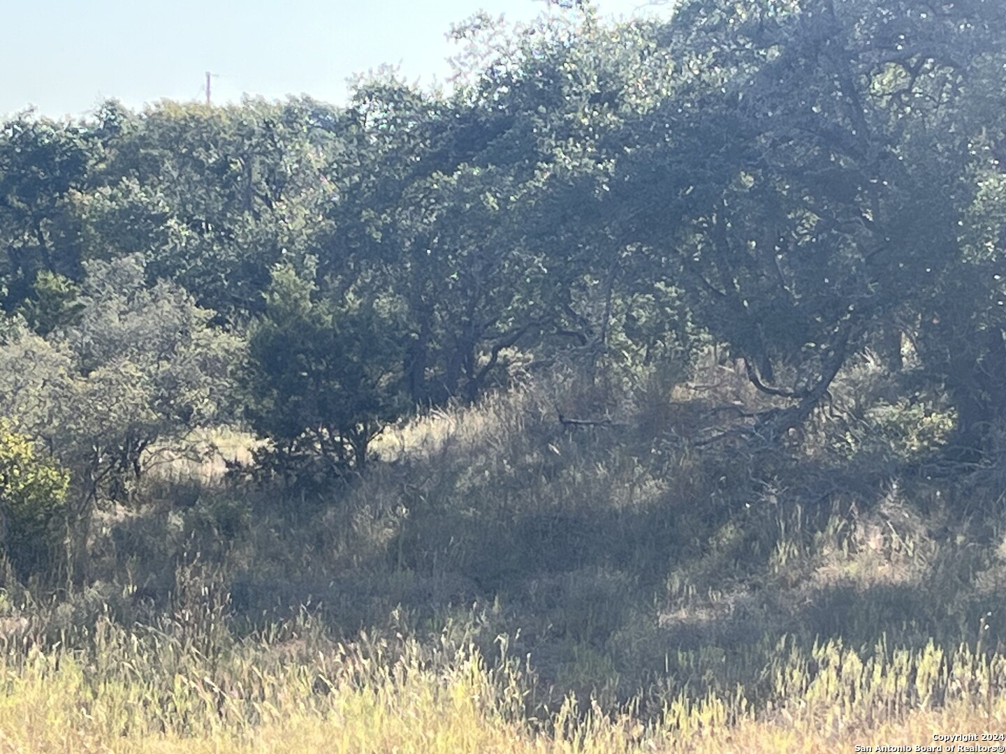 699 Whiskey Trail Blanco TX 78606