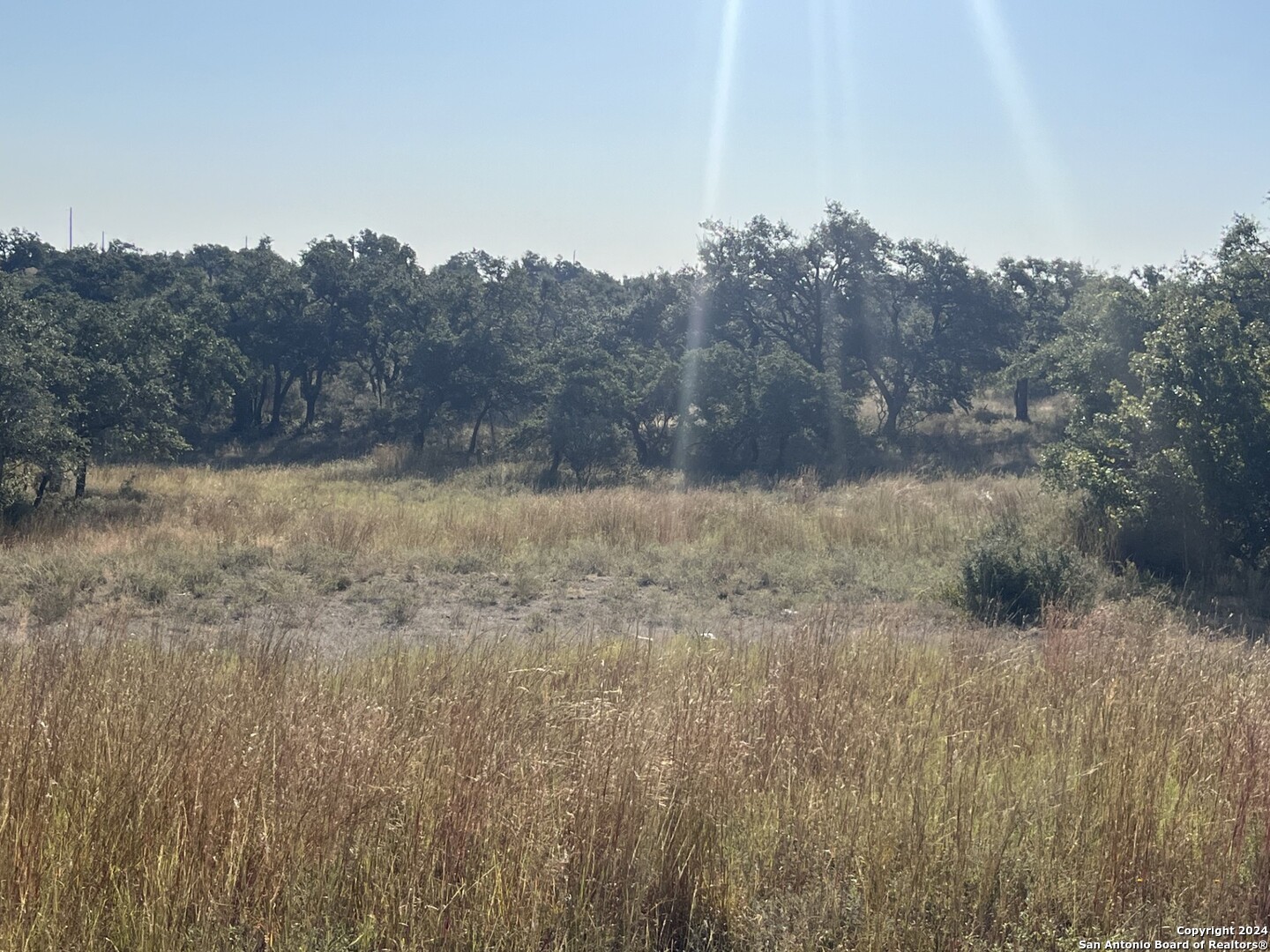699 Whiskey Trail Blanco TX 78606