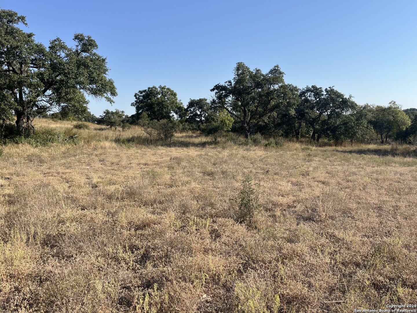 699 Whiskey Trail Blanco TX 78606