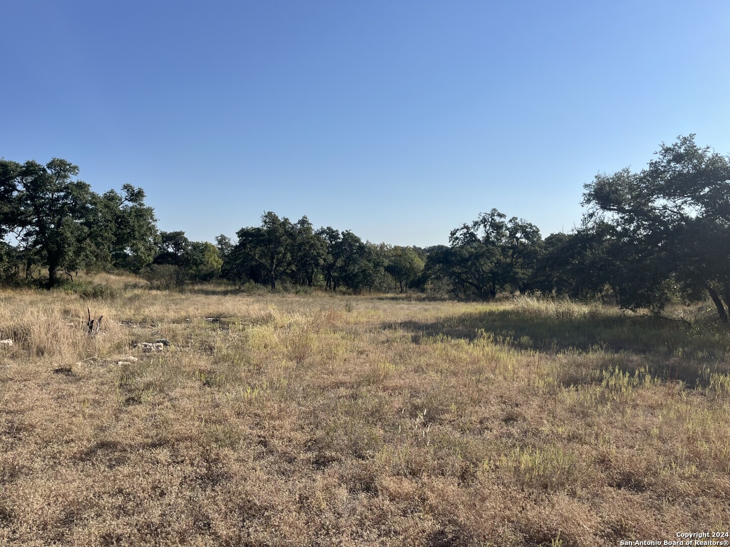 699 Whiskey Trail Blanco TX 78606