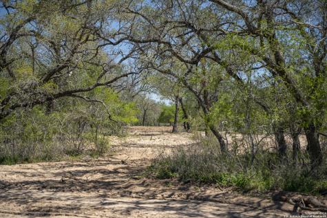 2731 County Road 770 Natalia TX 78059