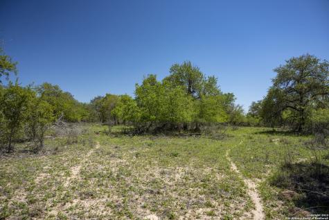 2731 County Road 770 Natalia TX 78059