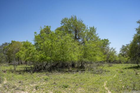 2731 County Road 770 Natalia TX 78059
