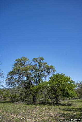 2731 County Road 770 Natalia TX 78059