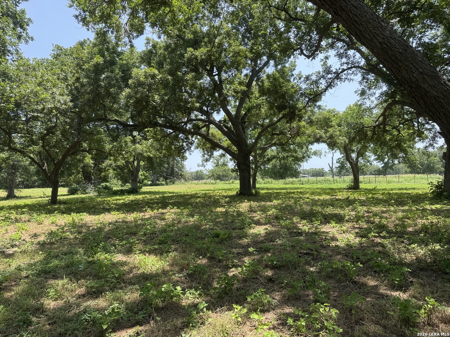 00 B & B Road Seguin TX 78155