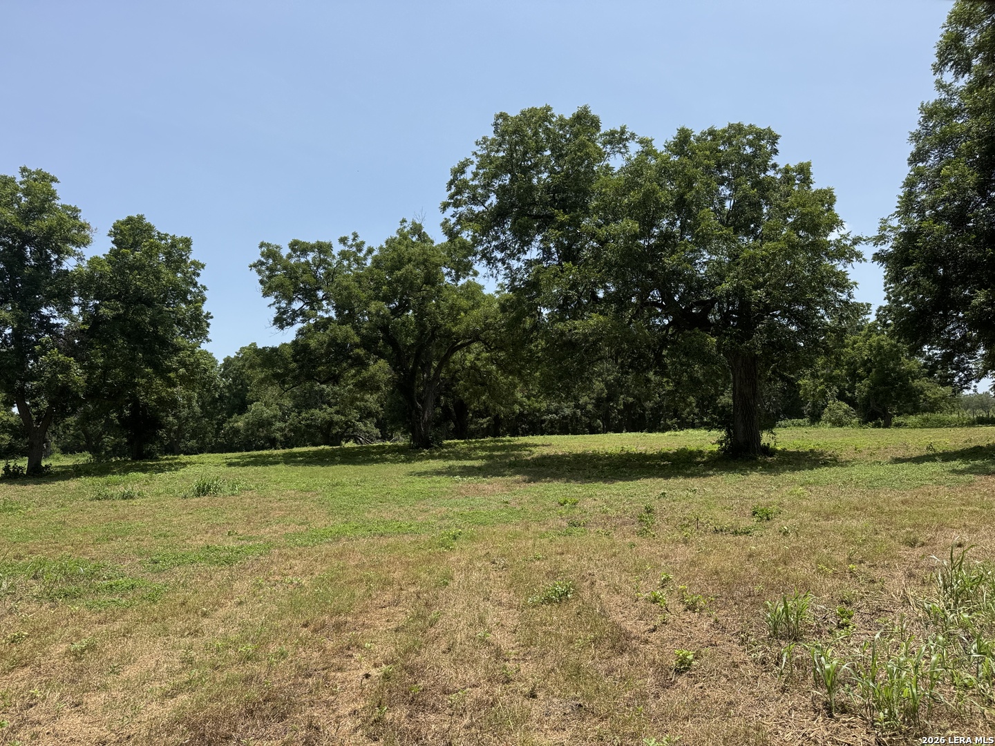 00 B & B Road Seguin TX 78155