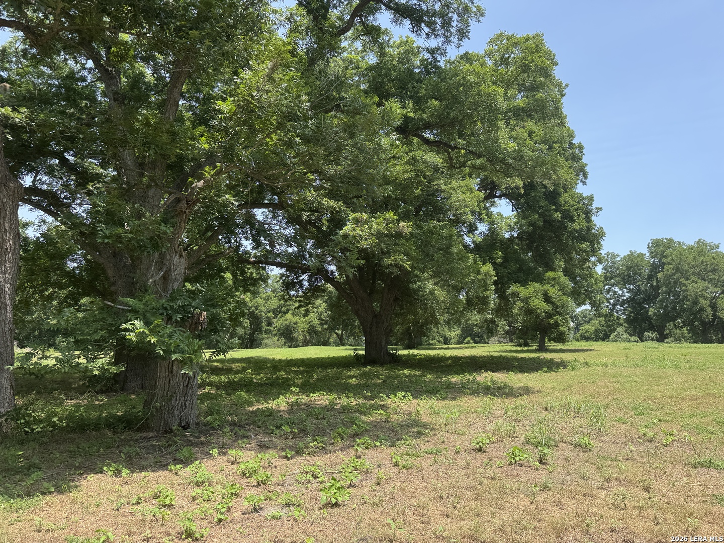 00 B & B Road Seguin TX 78155