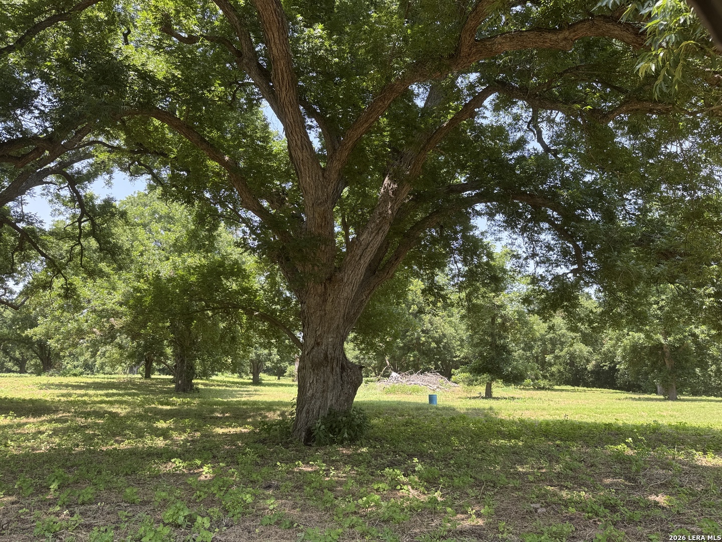 00 B & B Road Seguin TX 78155
