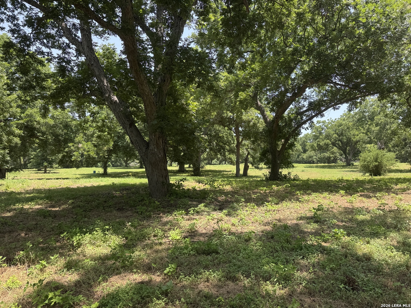 00 B & B Road Seguin TX 78155