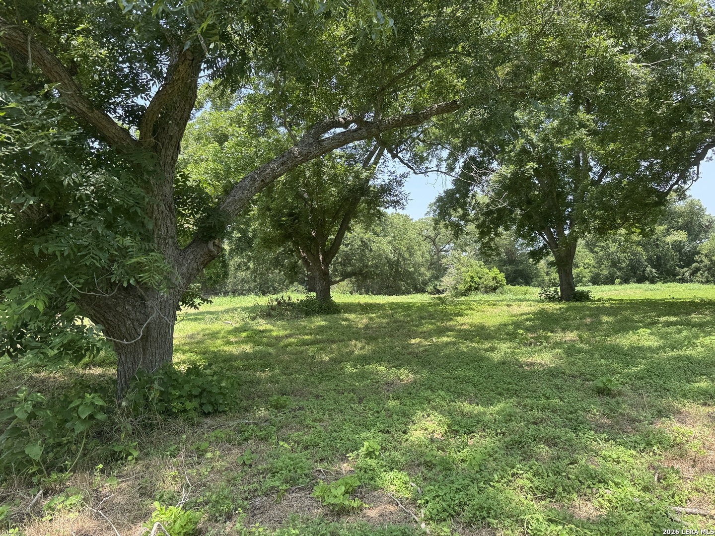 00 B & B Road Seguin TX 78155