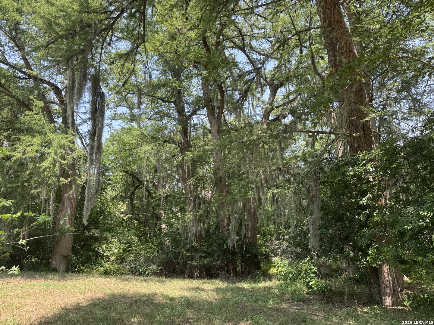 00 B & B Road Seguin TX 78155