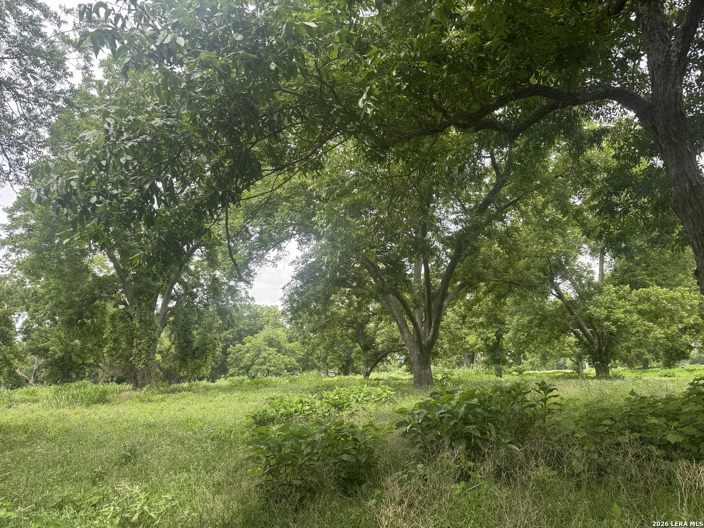 00 B & B Road Seguin TX 78155