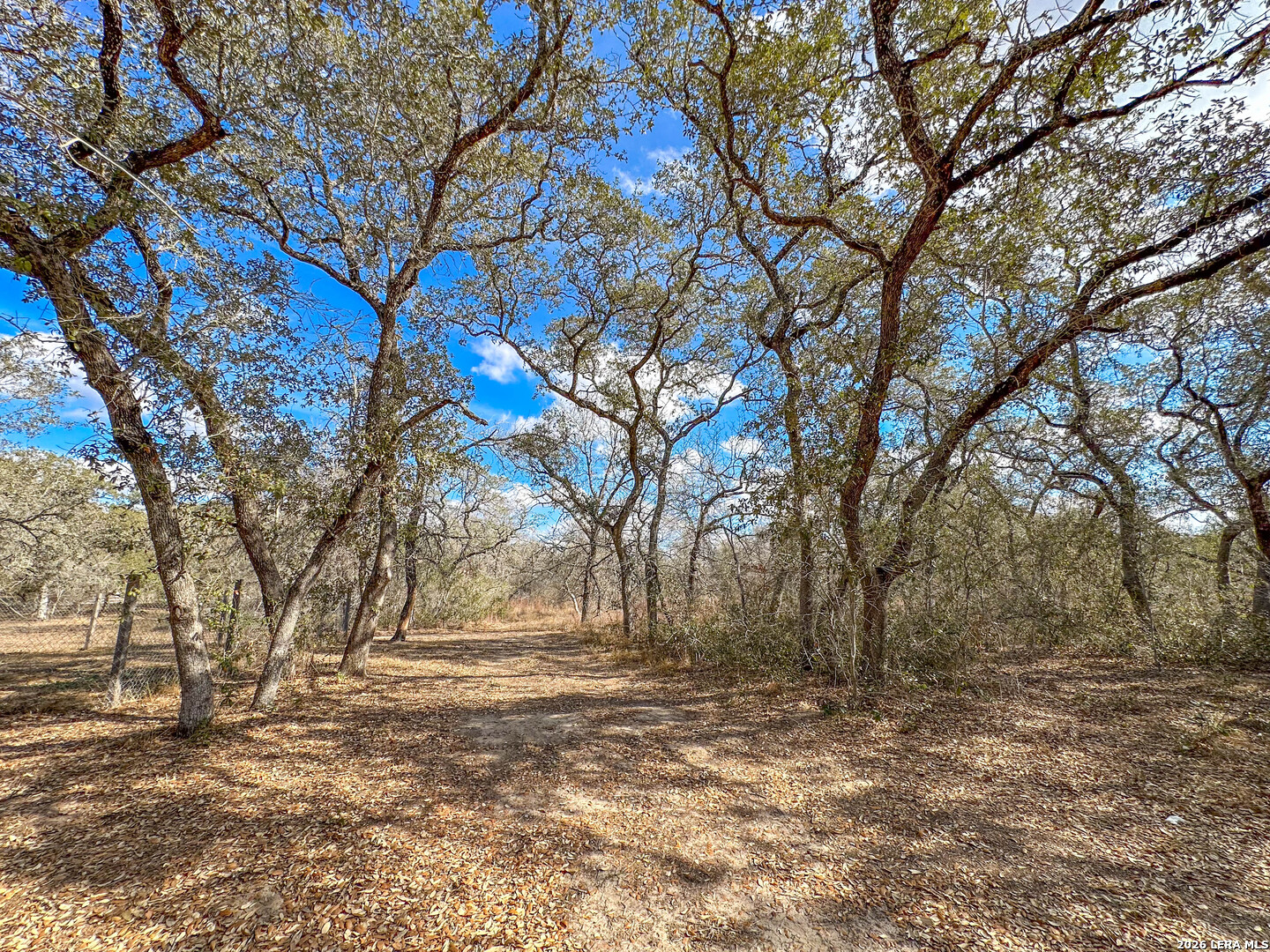20 Clear Lake Loop Poteet TX 78065