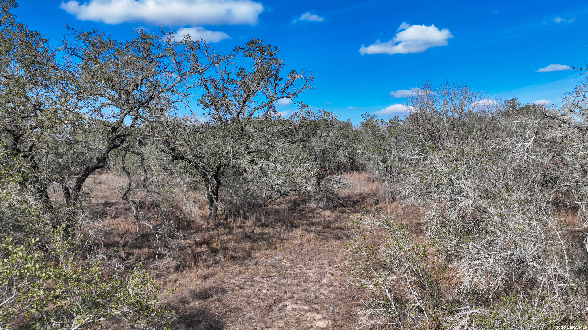 20 Clear Lake Loop Poteet TX 78065