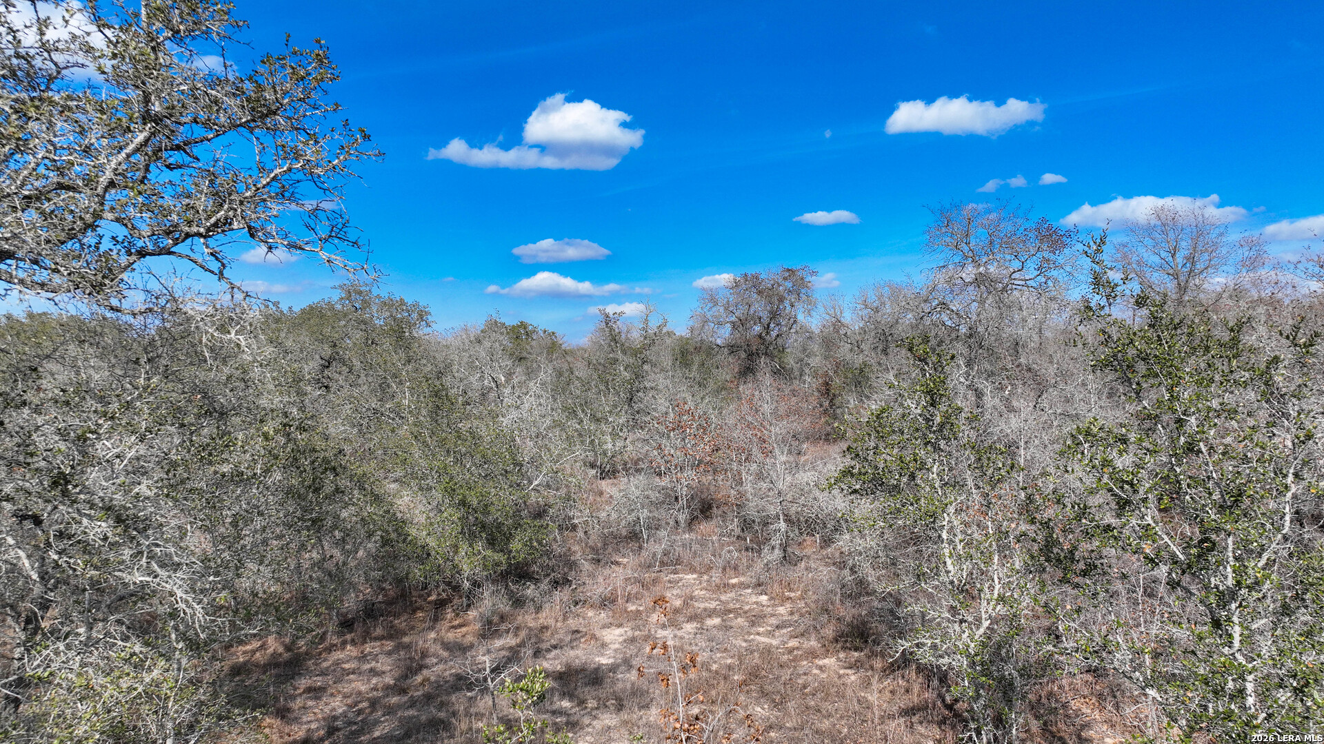 20 Clear Lake Loop Poteet TX 78065