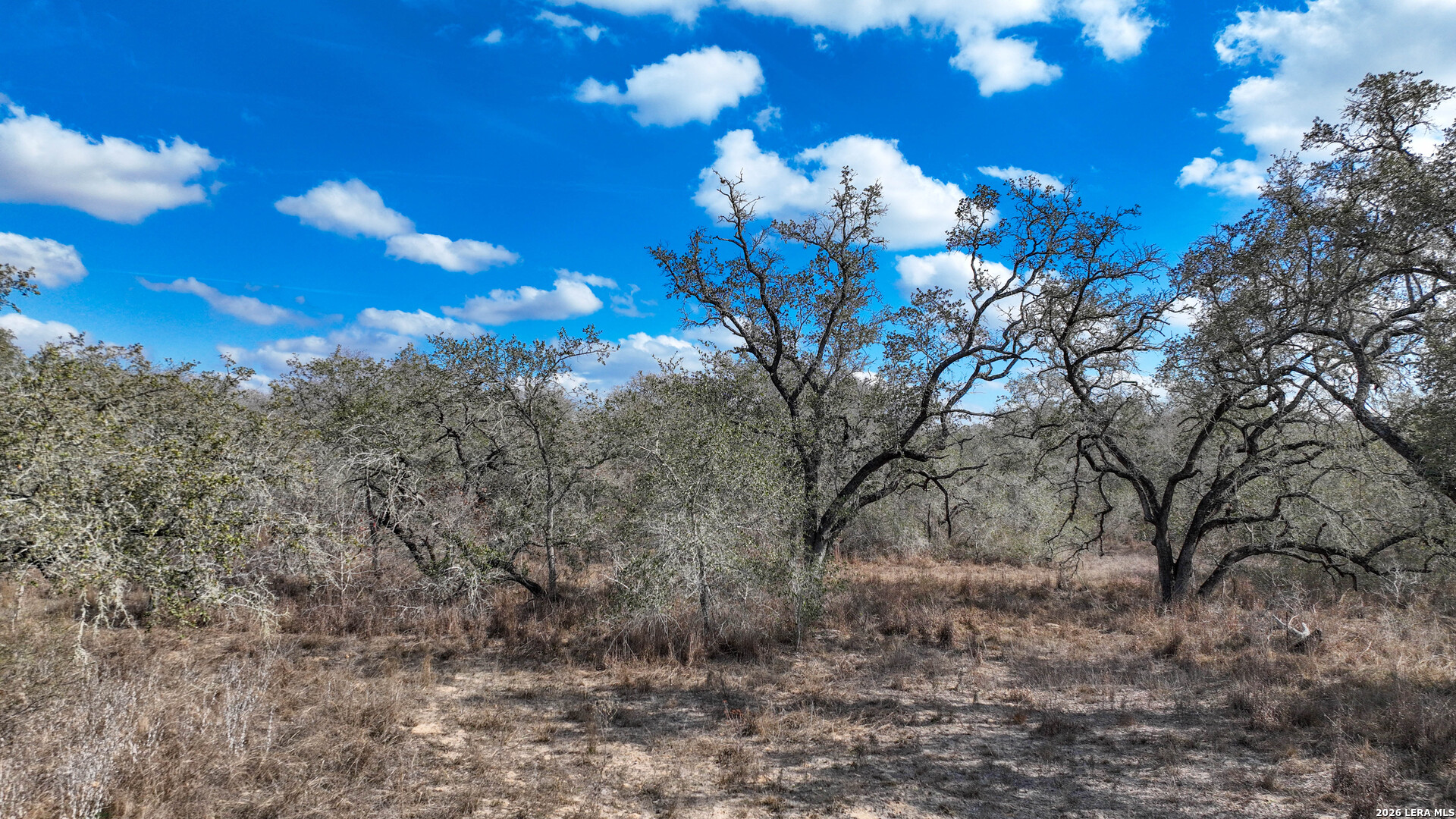 20 Clear Lake Loop Poteet TX 78065