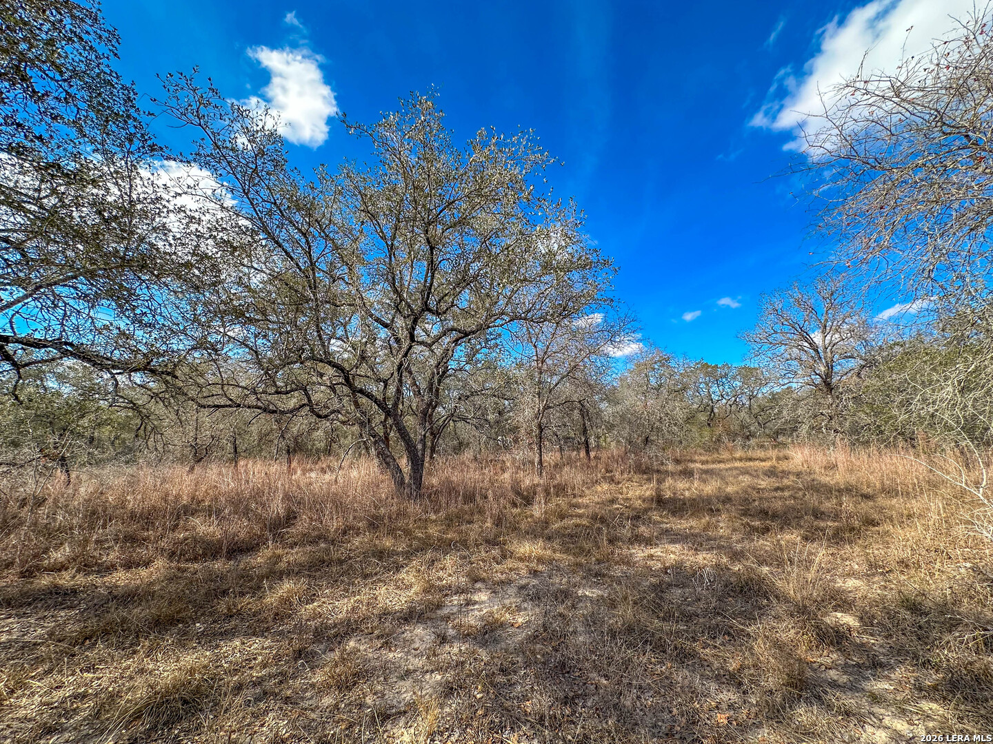 20 Clear Lake Loop Poteet TX 78065