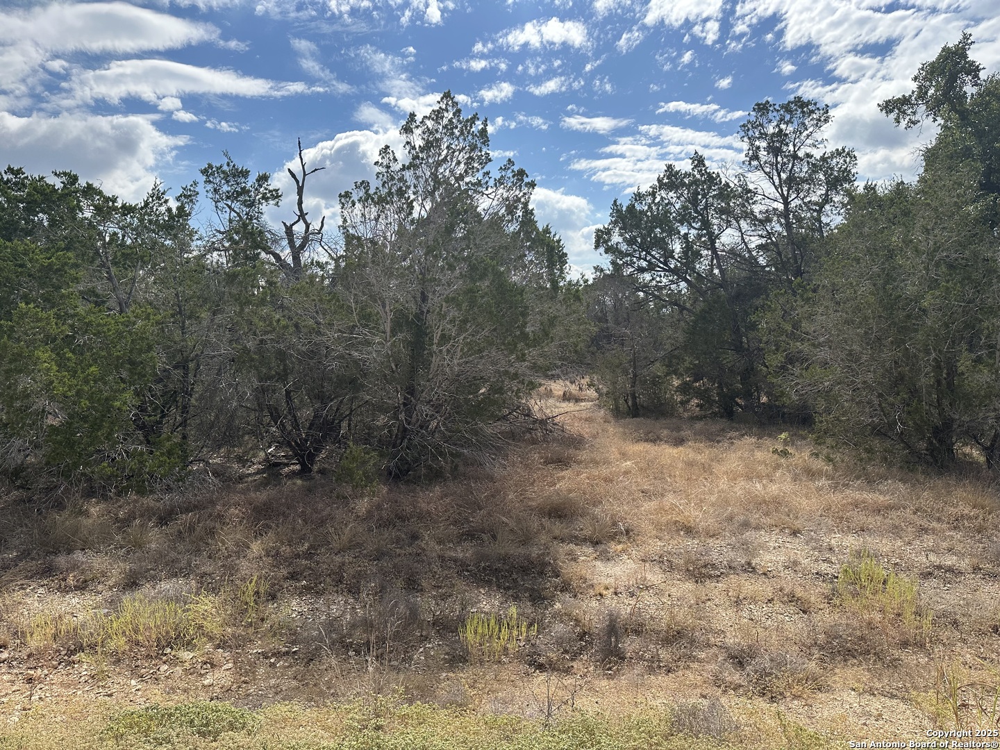959 Serene Park Spring Branch TX 78070
