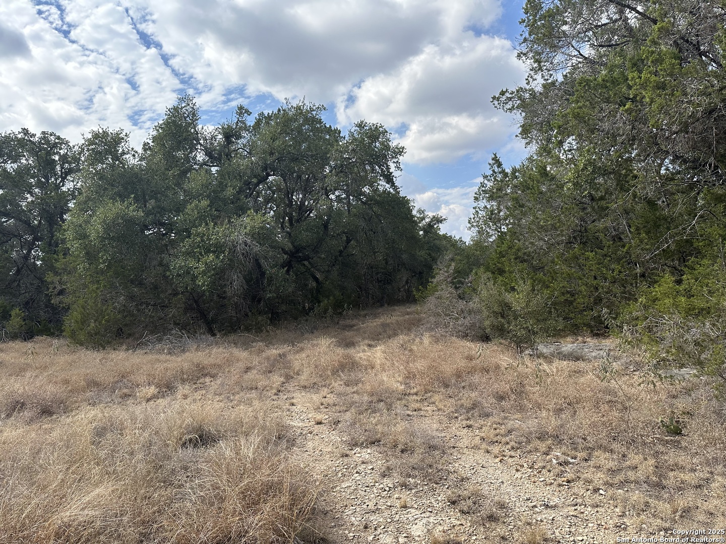 959 Serene Park Spring Branch TX 78070