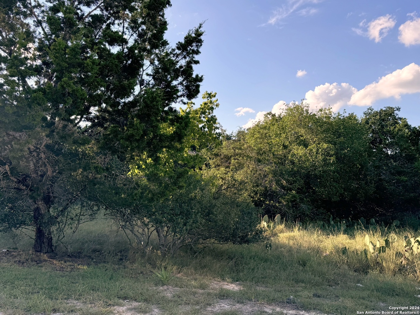 Lot 10 Rocky Point Drive Spring Branch TX 78070