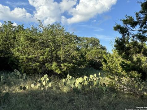 Lot 10 Rocky Point Drive Spring Branch TX 78070
