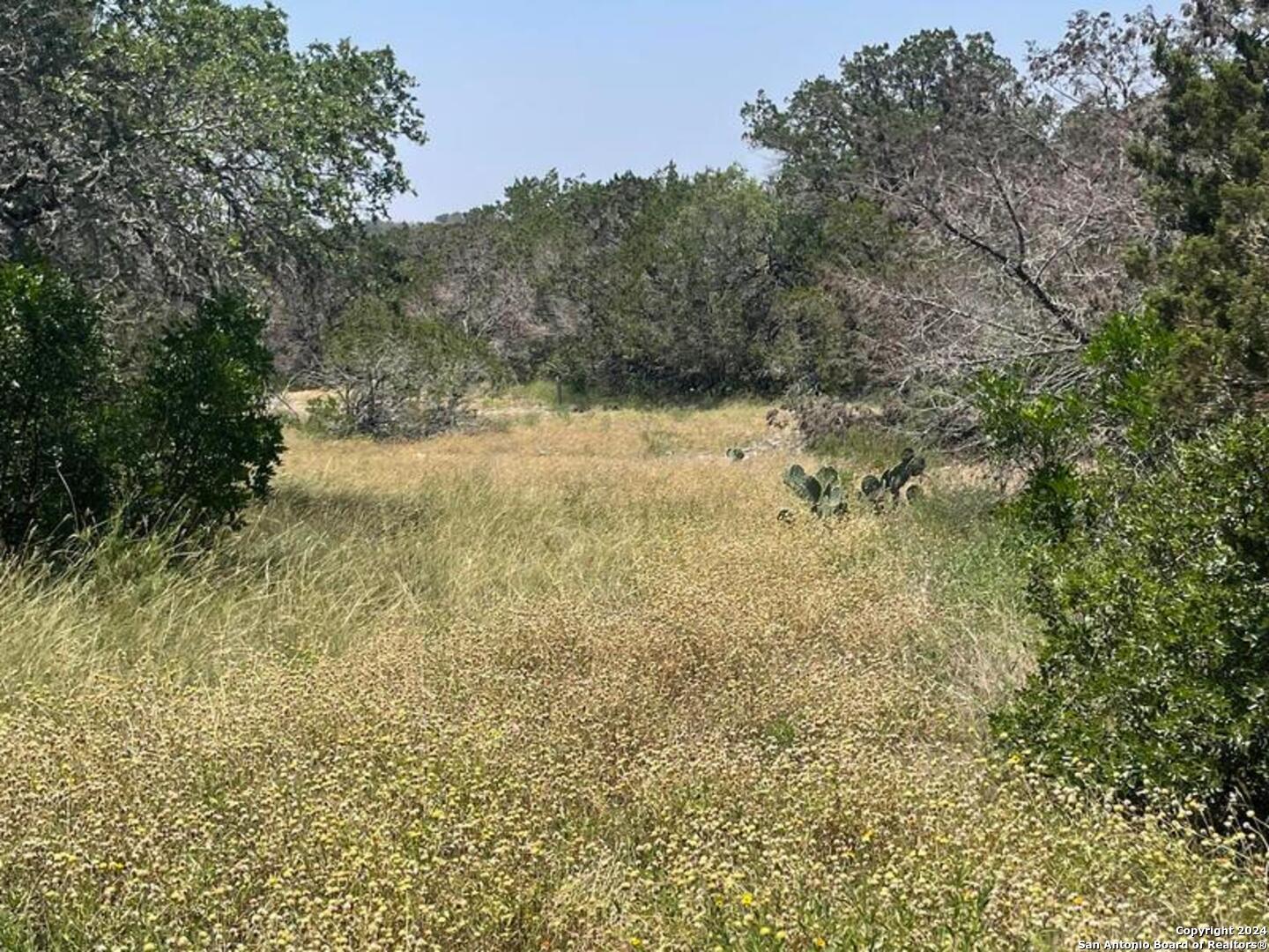 Lot 200 Valley Oaks Ranch Hondo TX 78861