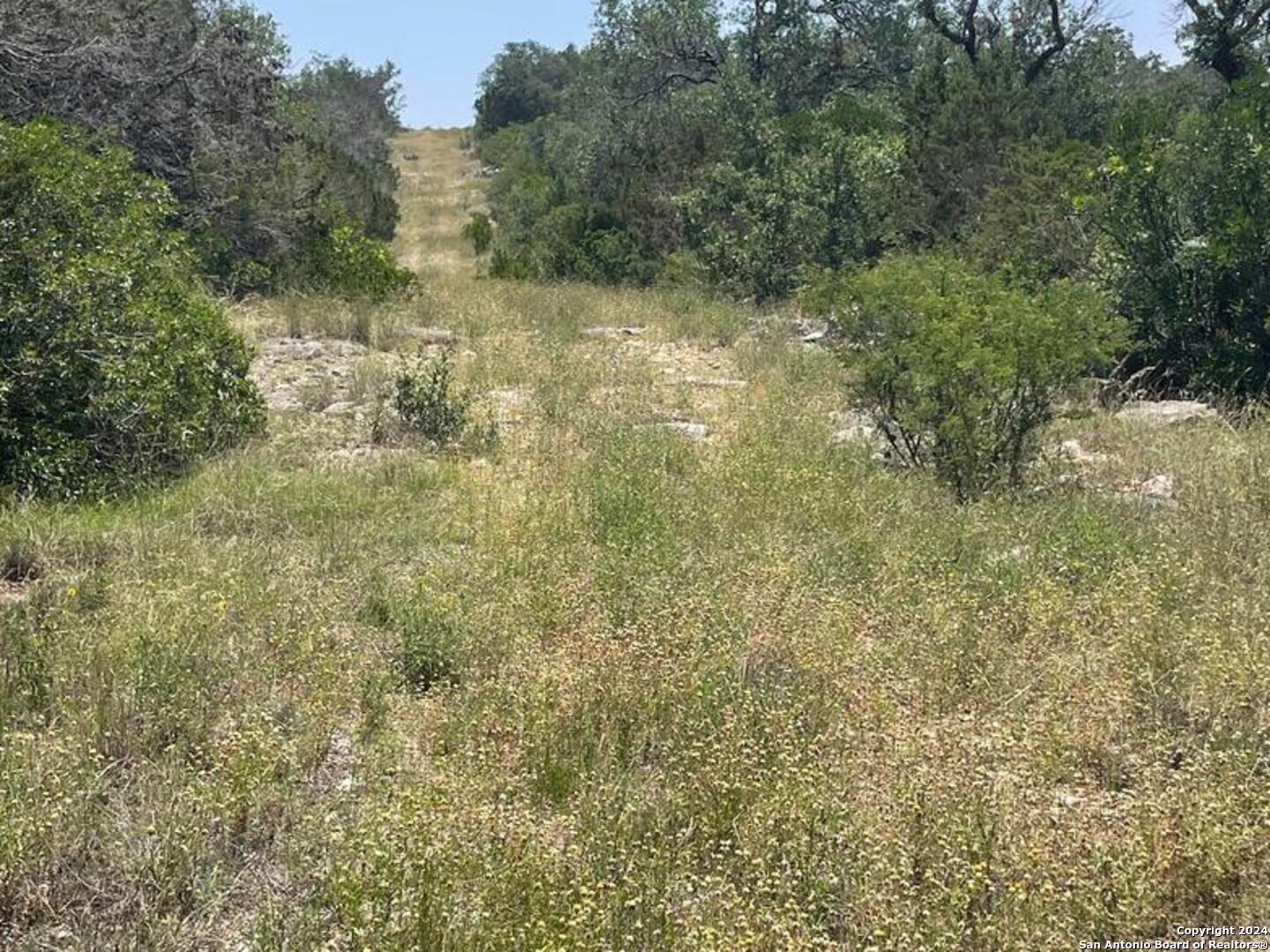Lot 200 Valley Oaks Ranch Hondo TX 78861