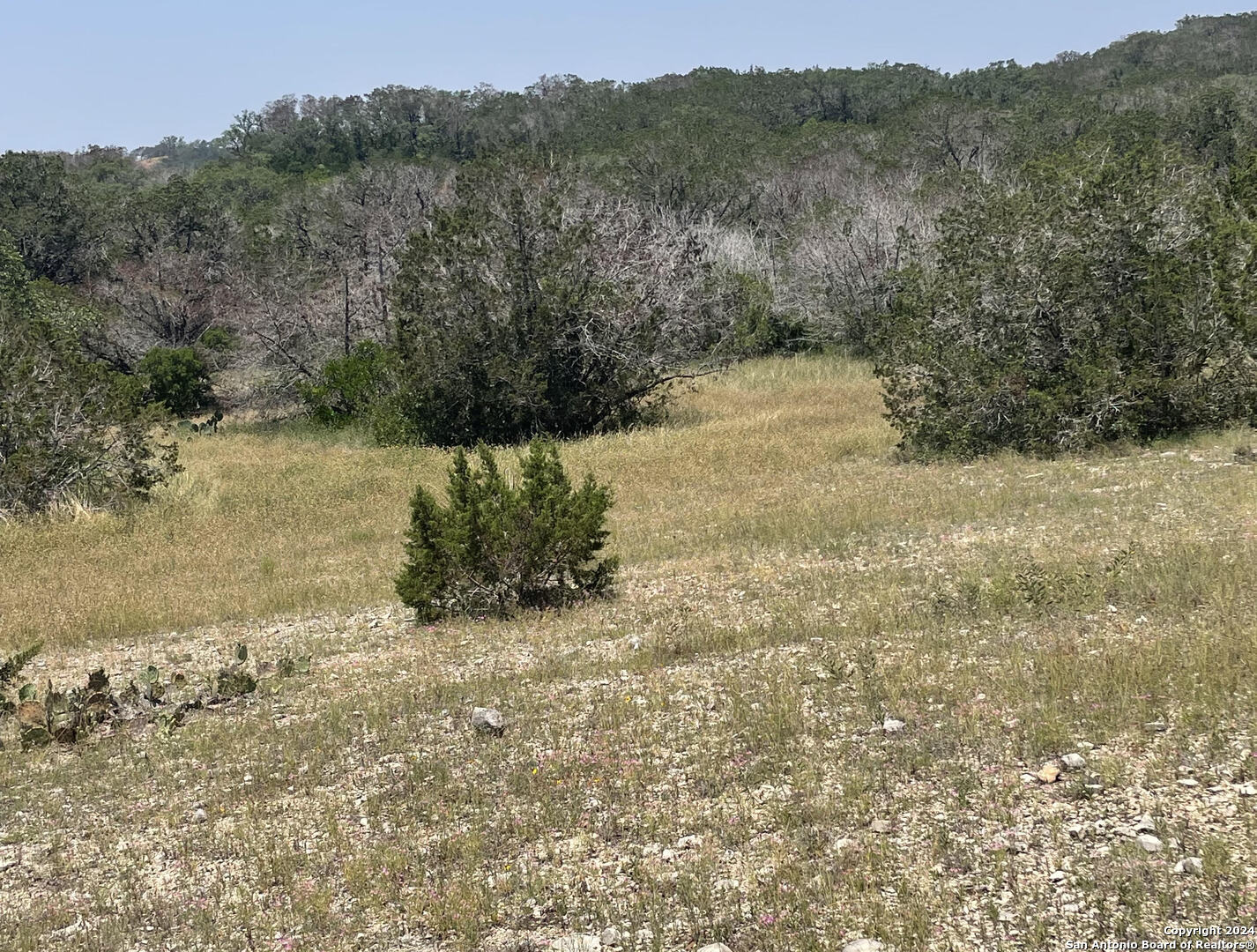 Lot 200 Valley Oaks Ranch Hondo TX 78861