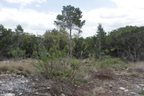 10451 W Rr 337 Camp Wood TX 78833