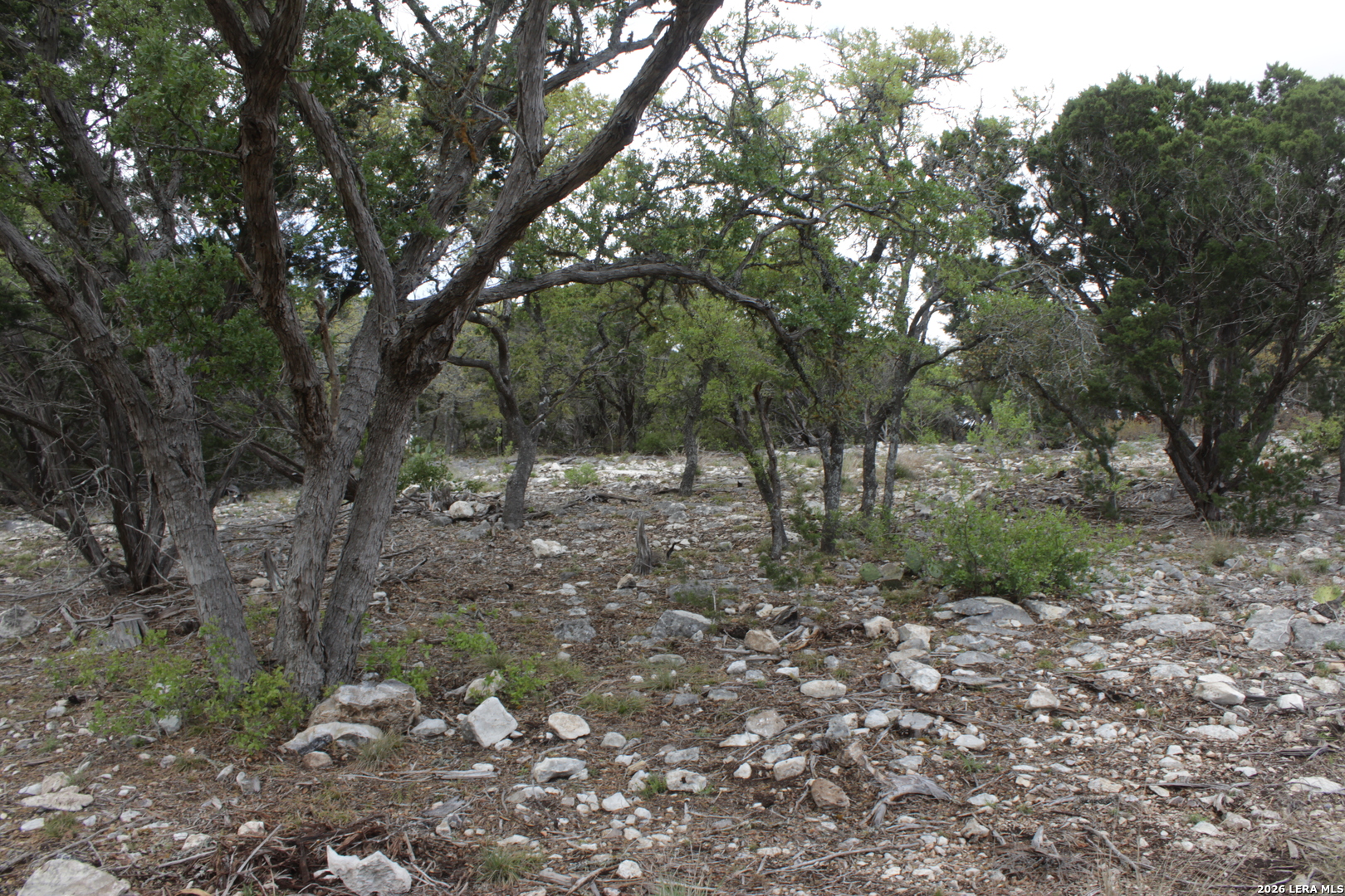 10451 W Rr 337 Camp Wood TX 78833