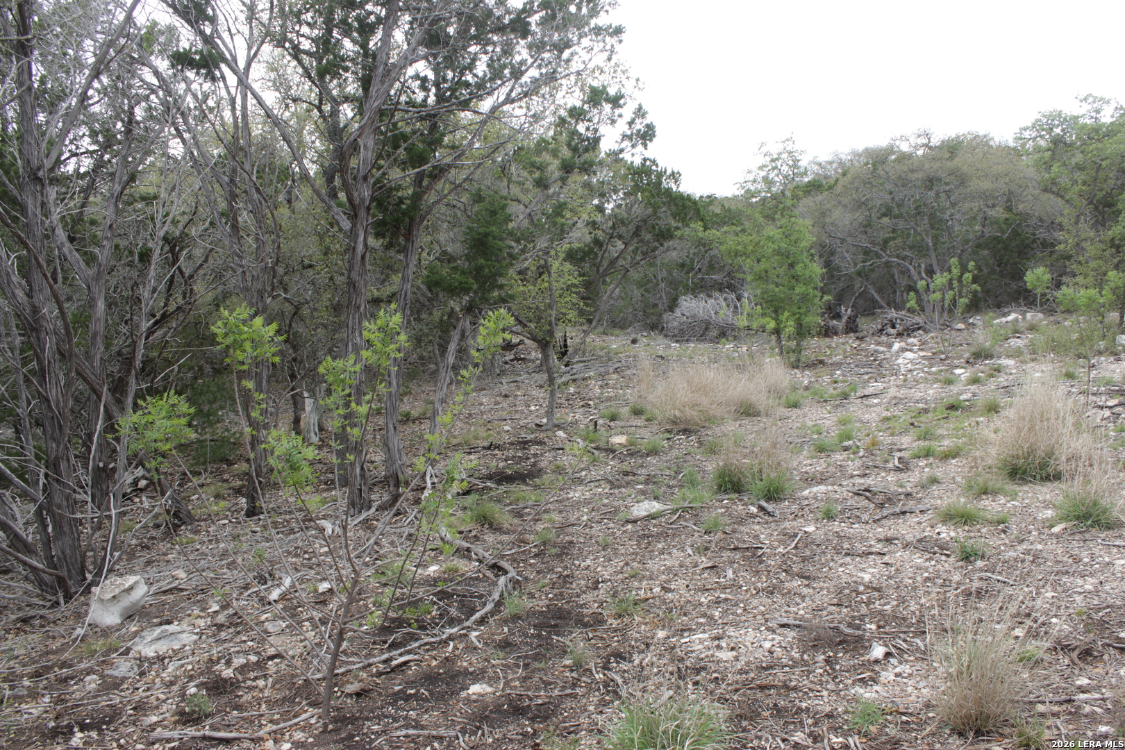 10451 W Rr 337 Camp Wood TX 78833