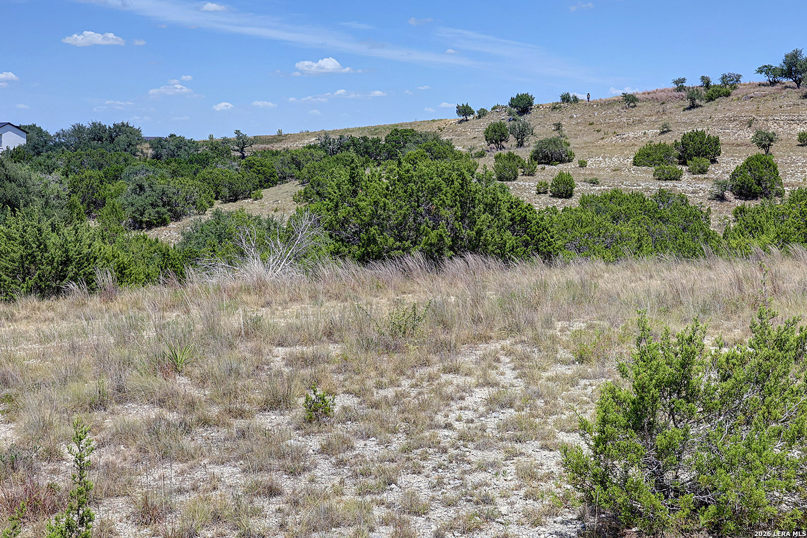 Lot 16 N Scenic Hills Court Blanco TX 78606