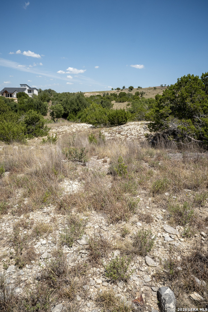 Lot 16 N Scenic Hills Court Blanco TX 78606