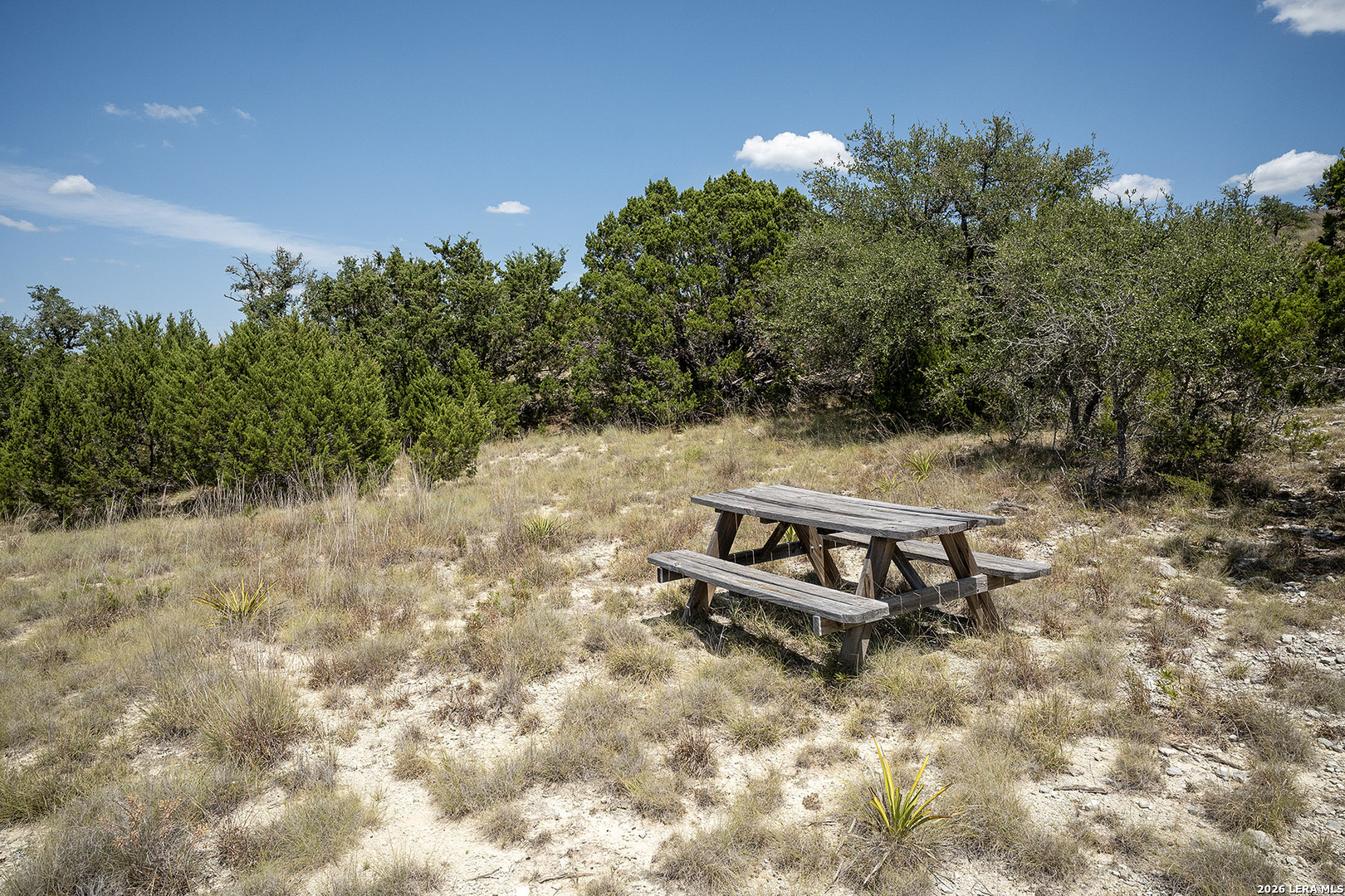 Lot 16 N Scenic Hills Court Blanco TX 78606