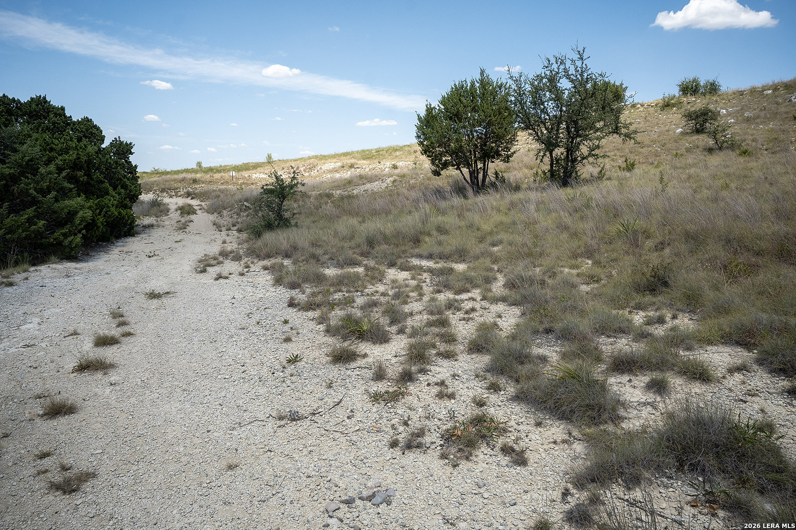 Lot 16 N Scenic Hills Court Blanco TX 78606